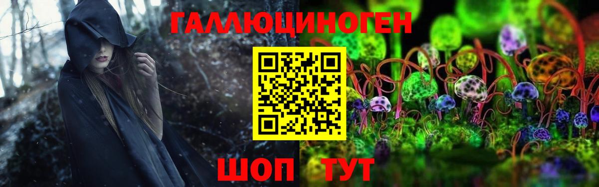 Галлюциногенные грибы Psilocybe Советская Гавань